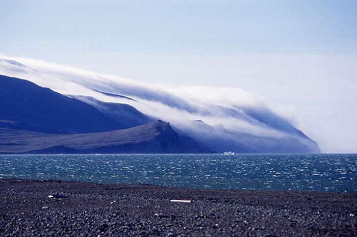 A photograph of Vrangelya Island in the Arctic Ocean.